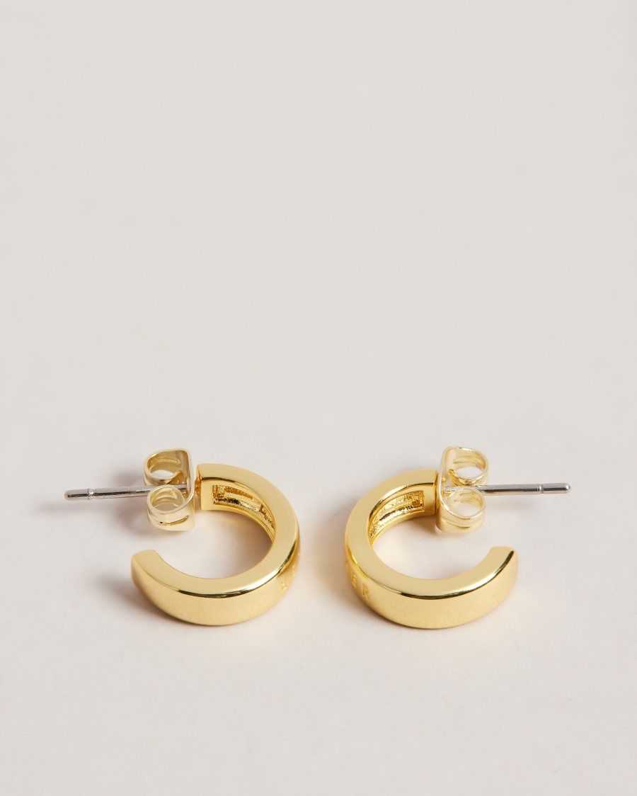 Ted Baker Helanna Small Hoop Earrings Gold Colour | 4731569-DK