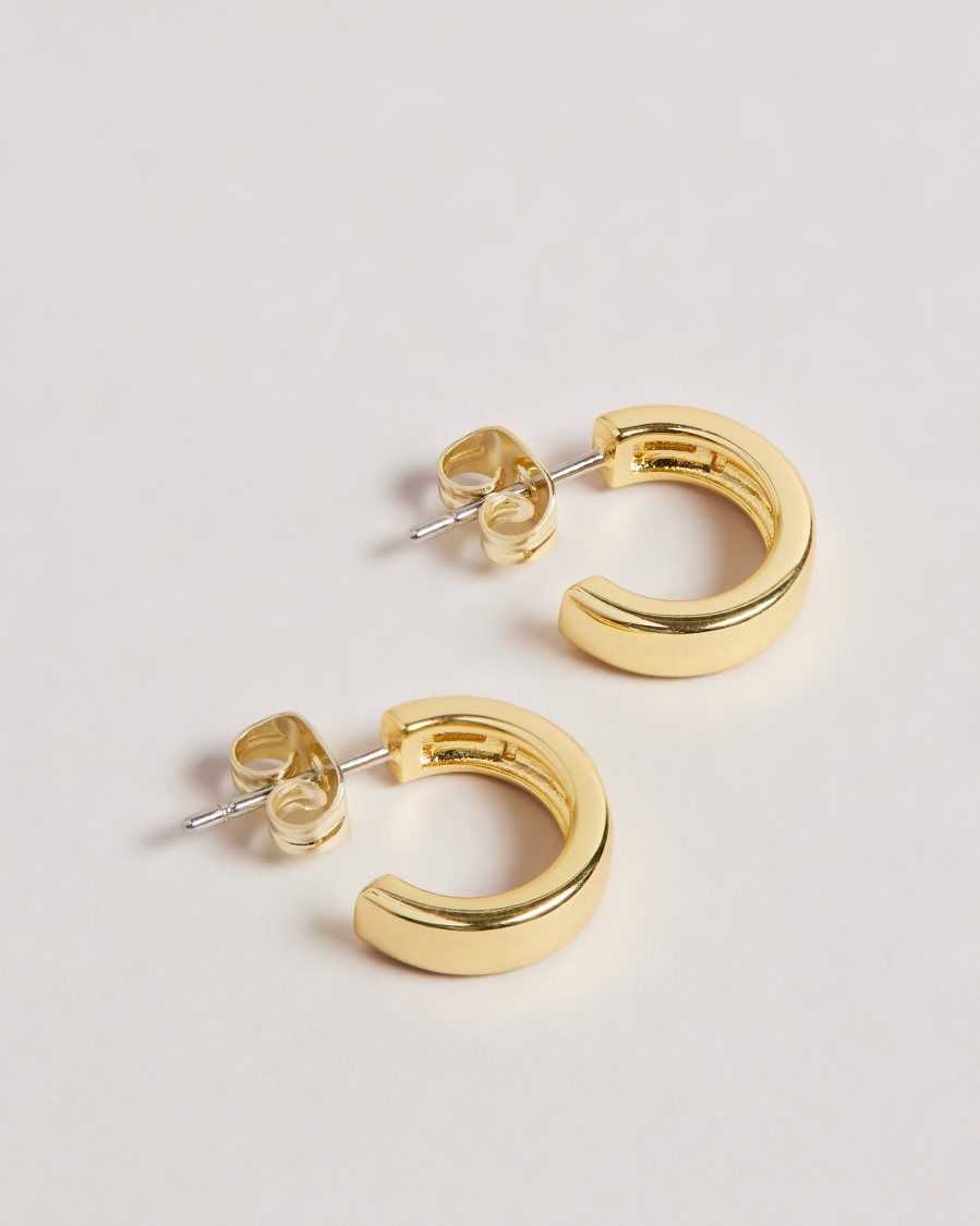 Ted Baker Helanna Small Hoop Earrings Gold Colour | 4731569-DK