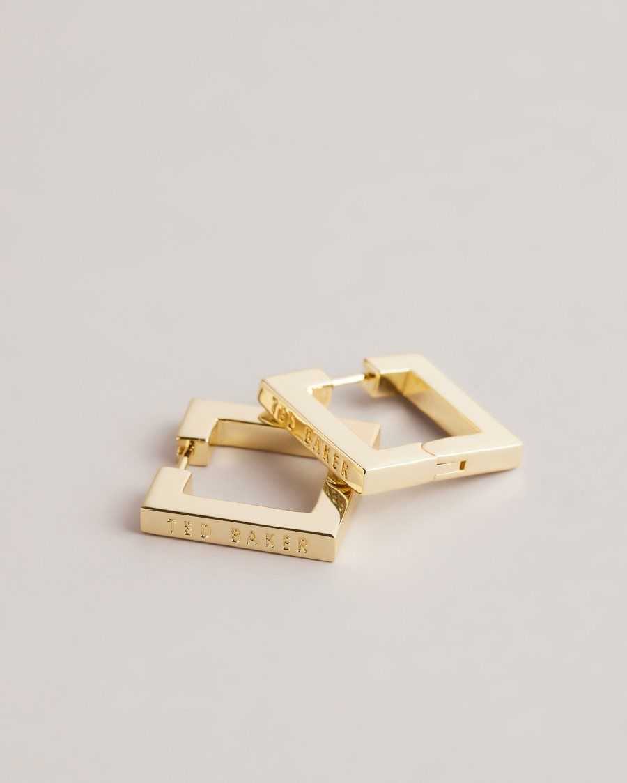 Ted Baker Saadiey Large Square Hinge Earrings Gold Colour | 5987462-SV