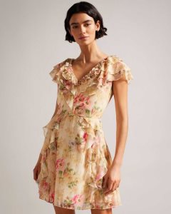 Ted Baker Ammiah Frilled Floral V Neck Mini Dress Tan | 2516874-WH