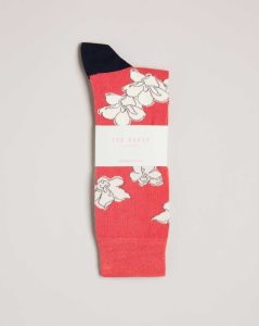 Ted Baker Britesk Bright Floral Socks Orange | 2607845-LQ