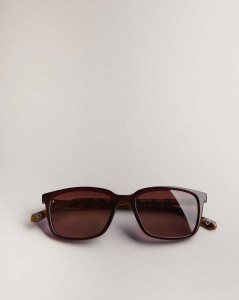 Ted Baker Farlei Classic Tortoiseshell Frame Sunglasses Dark Red | 4961783-LG