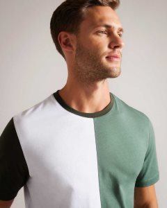 Ted Baker Ramin Short Sleeve Vertical Colour Block T-Shirt Medium Green | 7942063-MH