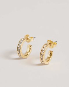 Ted Baker Seenita Nano Hoop Huggie Earrings Gold Colour | 9801453-DZ