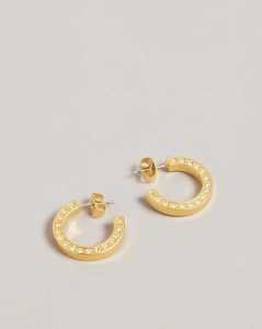 Ted Baker Senatta Crystal Hoop Earrings Gold Colour | 1294368-PE