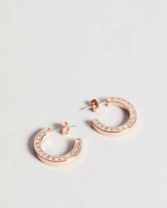 Ted Baker Senatta Crystal Hoop Earrings Rose Gold Colour | 3468215-EV